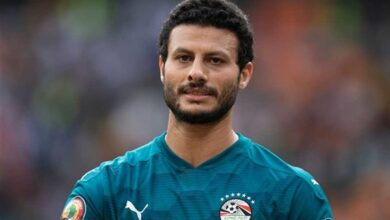 محمد الشناوي
