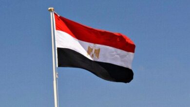 جهود الوساطة المصرية القطرية تتوصل لوقف نزيف الدم الفلسطيني ودخول المساعدات لغزة